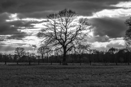 Hintergrundbilder Aus Dorsten Seite 43 Von 52 Kostenlose Hintergrundbilder