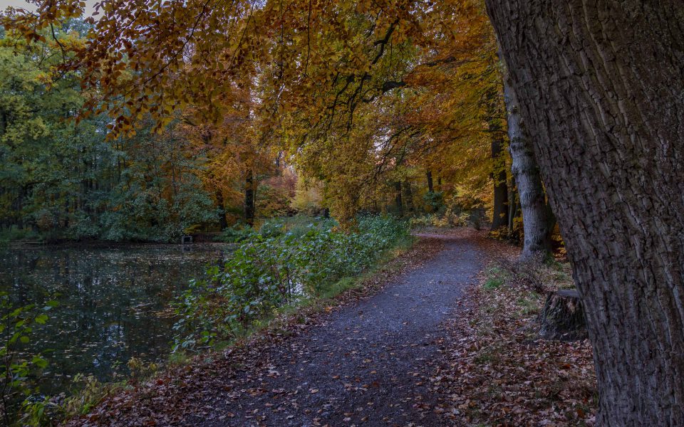 Hintergrundbilder Herbst Am Muhlenbach