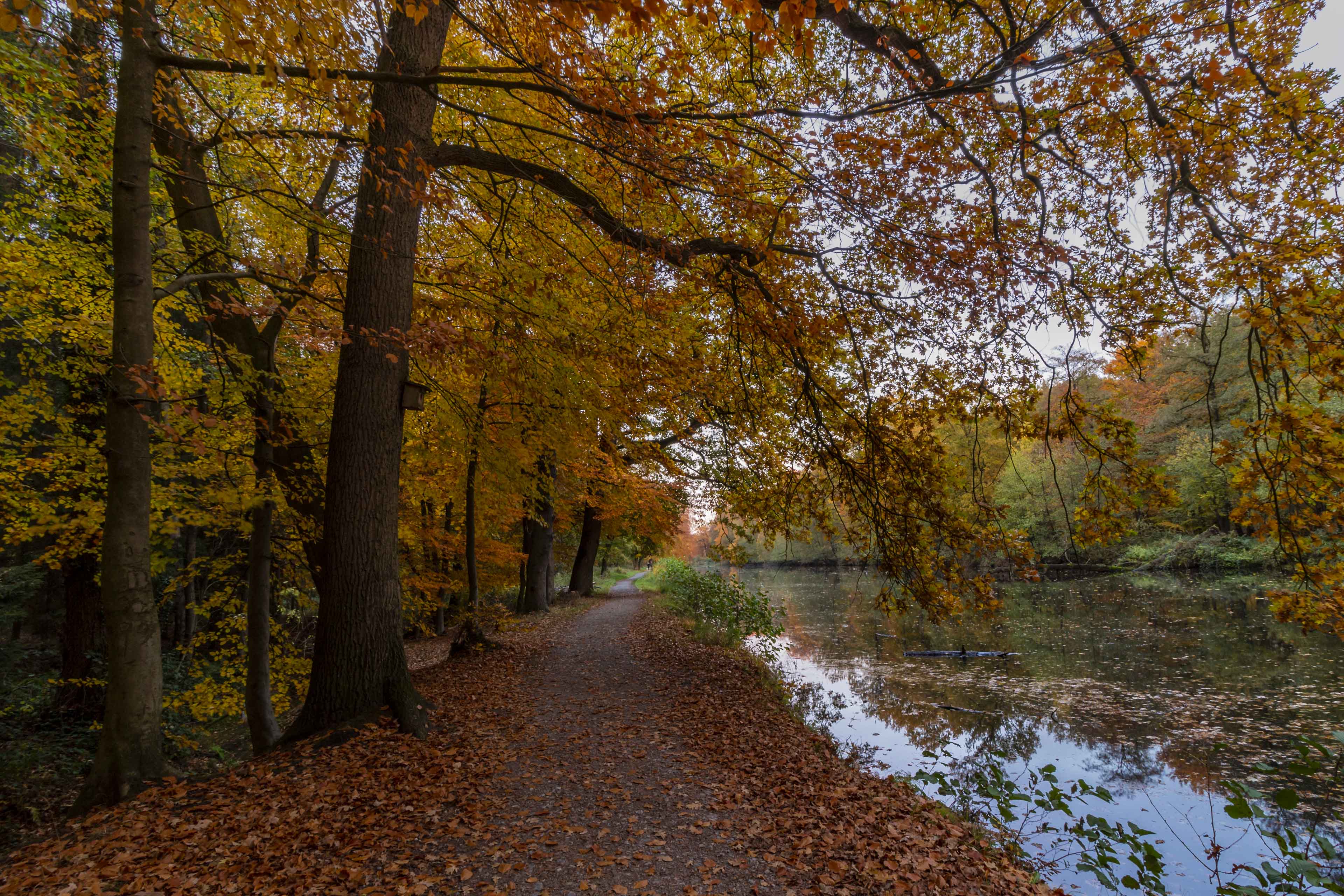 Hintergrundbilder | Herbst im Schlosspark
