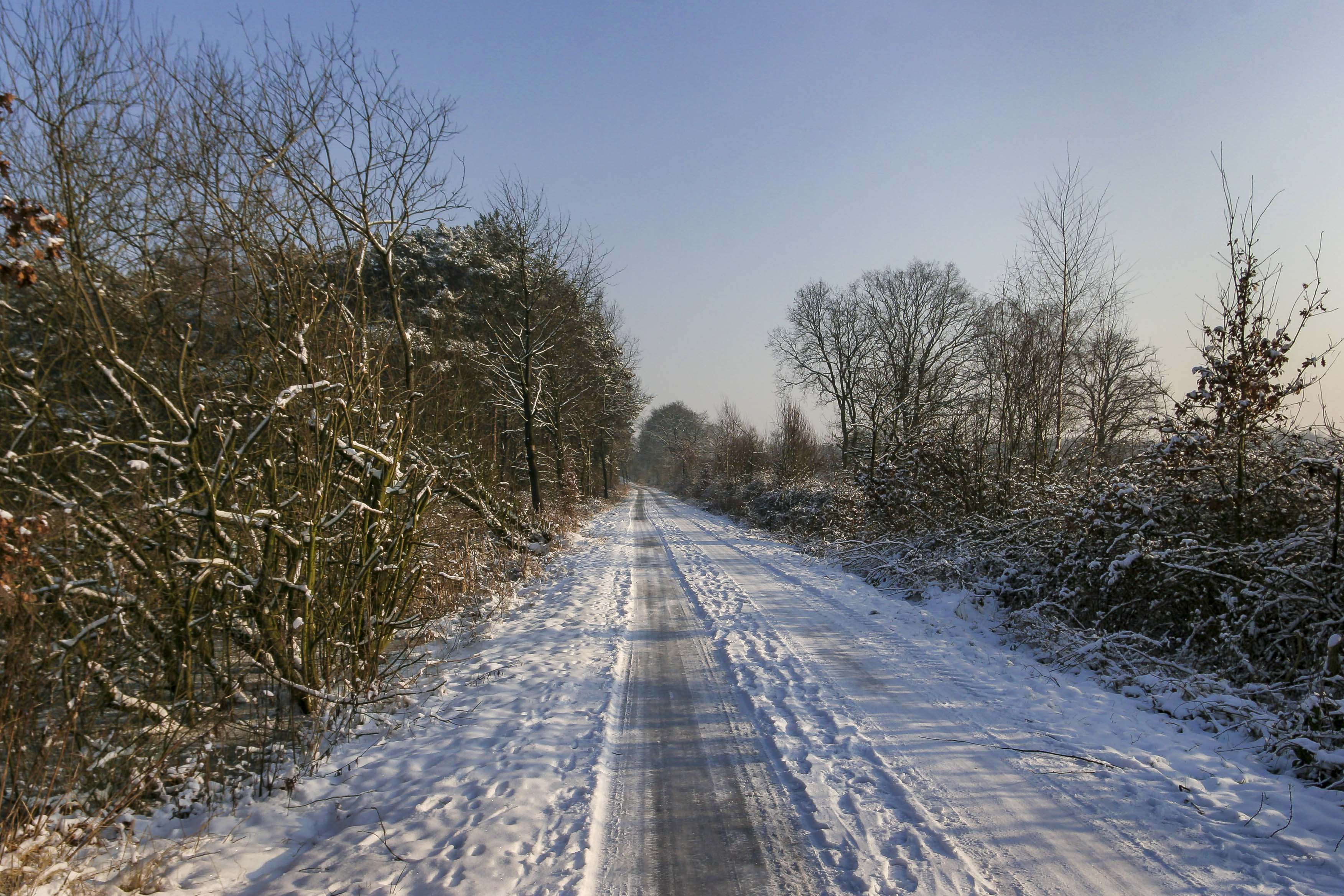 Hintergrundbilder | Verschneiter Weg